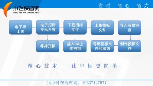 2021江西省,標書編寫的公司,全程加密合作 小飛俠標書公司