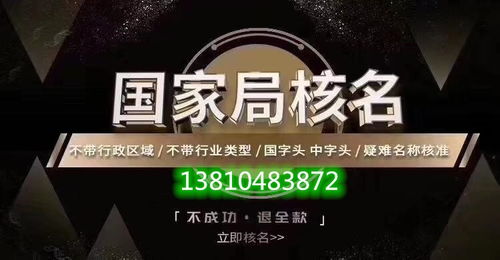 一手渠道注冊無地域公司名稱要求優質服務 新曙光
