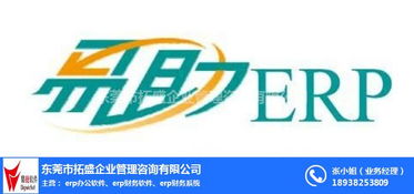 erp系統管理軟件 拓盛企業管理咨詢 深圳erp系統