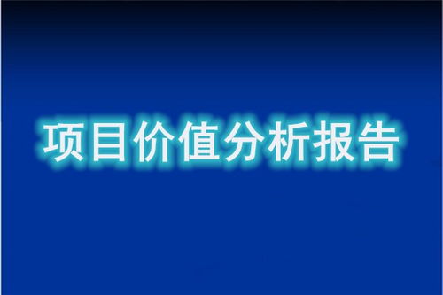 上思項目投資分析及資金管理公司