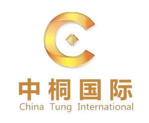 公司注冊 公司收轉,資金證明 擺帳顯帳,變更 稅務疑難,資產評估 汽車指標 中桐 北京 國際企業管理咨詢公司