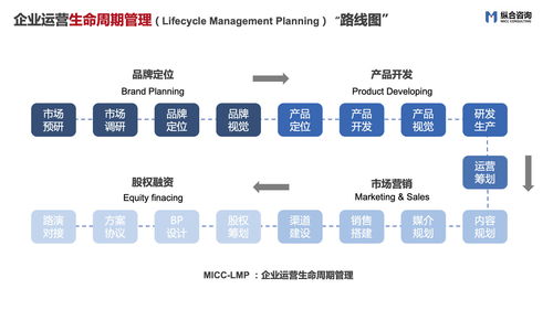 縱合咨詢micc 企業戰略定位及管理咨詢領域的特色品質企業