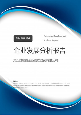 順鑫集團咨詢報告分析[課程作業]